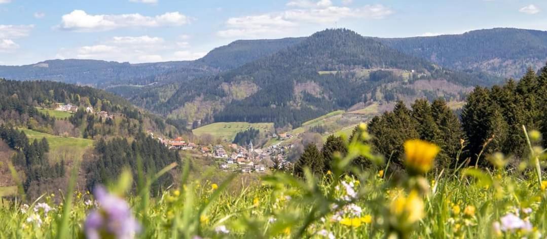 Gaestehaus Haaser Bad Peterstal-Griesbach Exterior foto